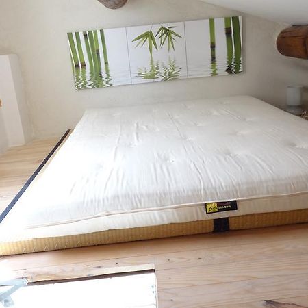 Appartement Avec Terrasse,Mezzanine,Patangarles Phòng bức ảnh